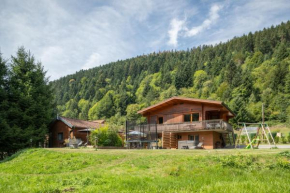 Chalets du Bouchot & Jacuzzi privatif proximité Gerardmer & La Bresse Rochesson